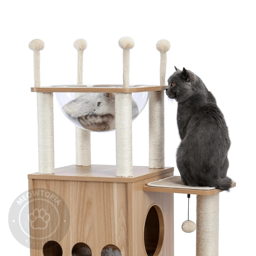 Modern Cat Tree Heavy Duty