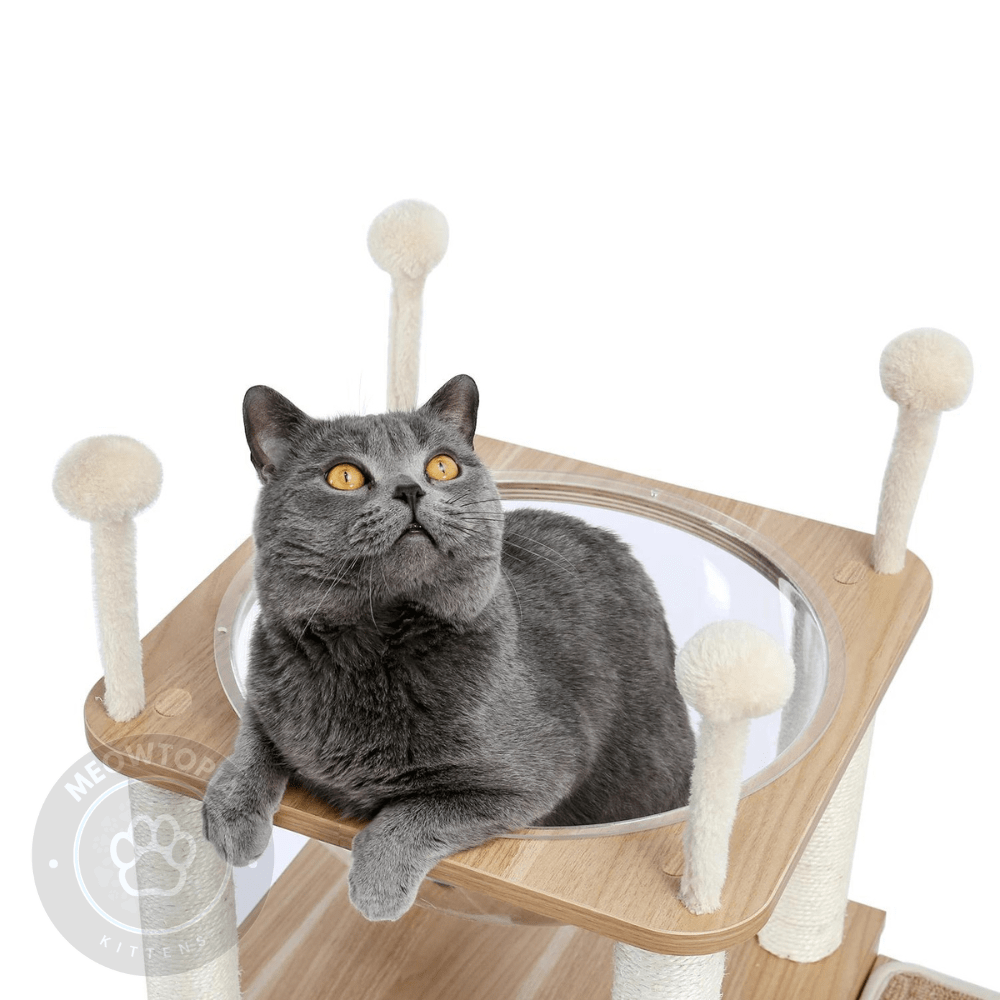Modern Cat Tree Heavy Duty
