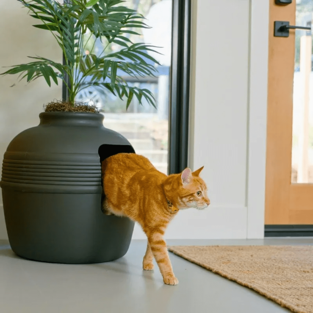 Meowtopia Hidden Oasis Litter Box Planter