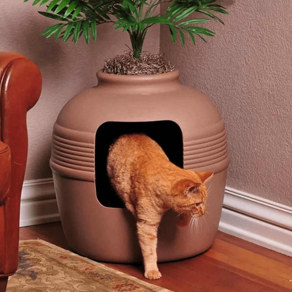 Meowtopia Hidden Oasis Litter Box Planter