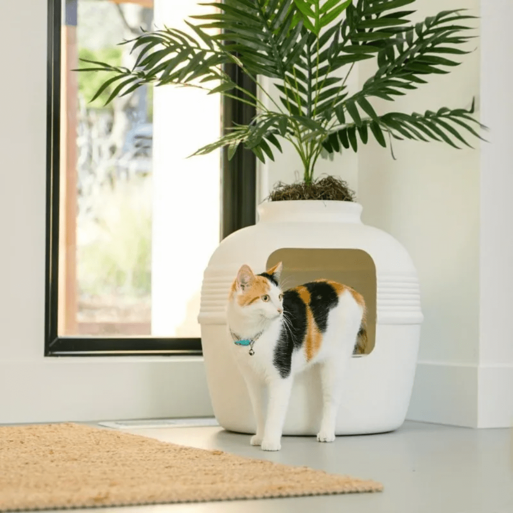 Meowtopia Hidden Oasis Litter Box Planter