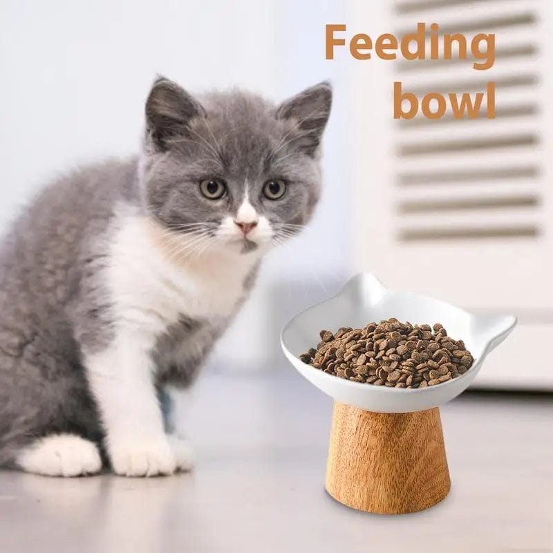 Ceramic Cat Food Bowls Elevated Porcelain Feeder Dish With Non-slip Wood Stand Wide Cat Food Bowl Feeding Watering Supplies