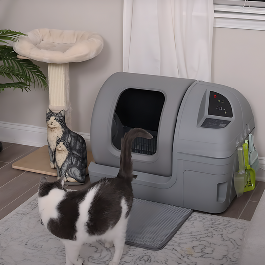 Revolutionize Your Cat's Hygiene with the M1 Smart Clean Litter Box