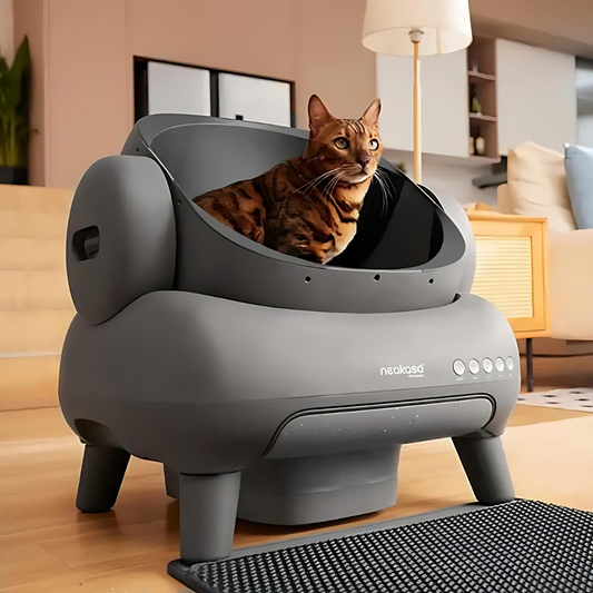 Neakasa M1 Litter Box: The Ultimate Game-Changer in Cat Care