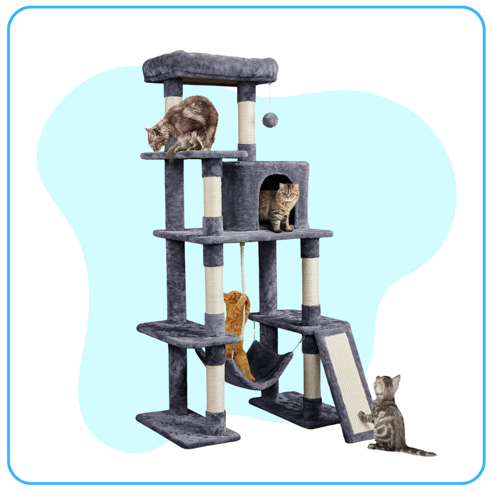 Cat Trees & Condos