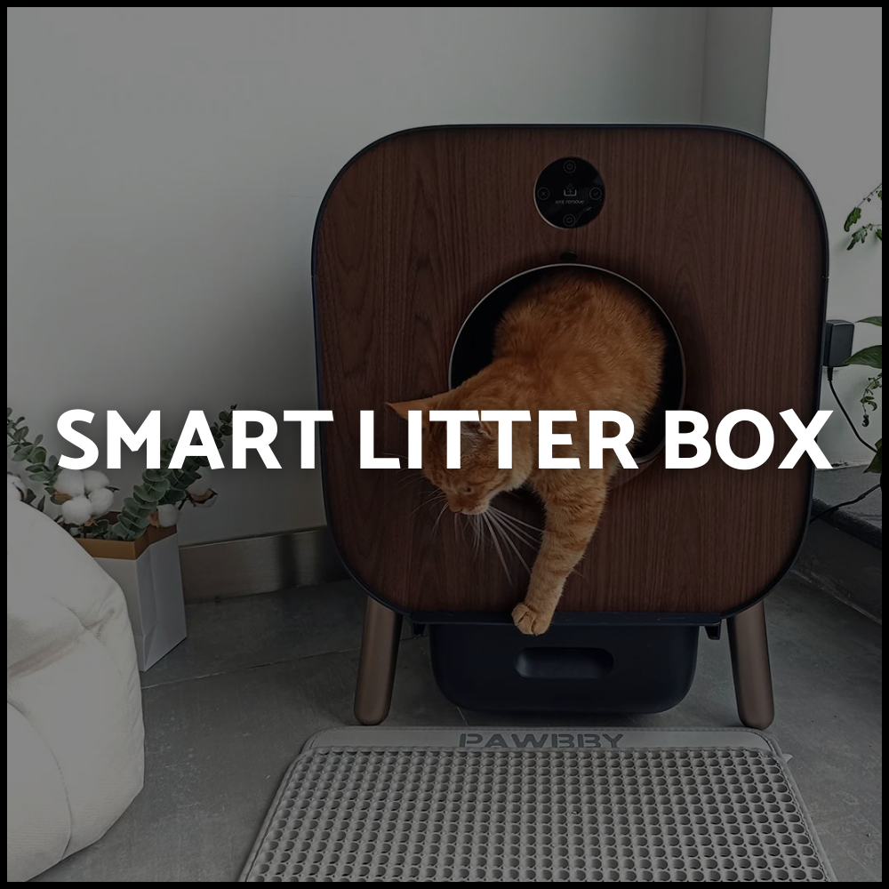 Smart Litter Box