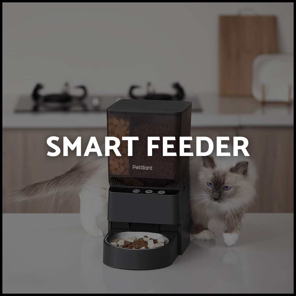 Smart Feeders