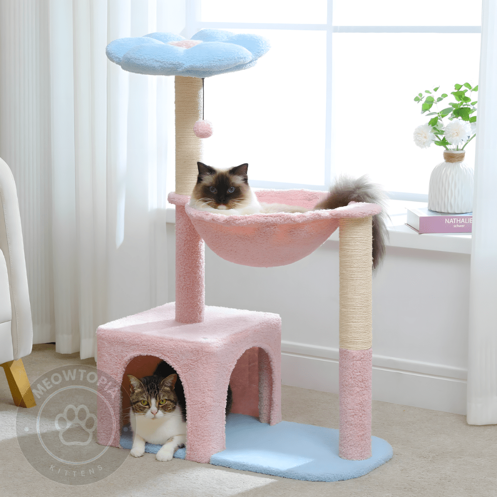 Blossom Bloom Cat Tree