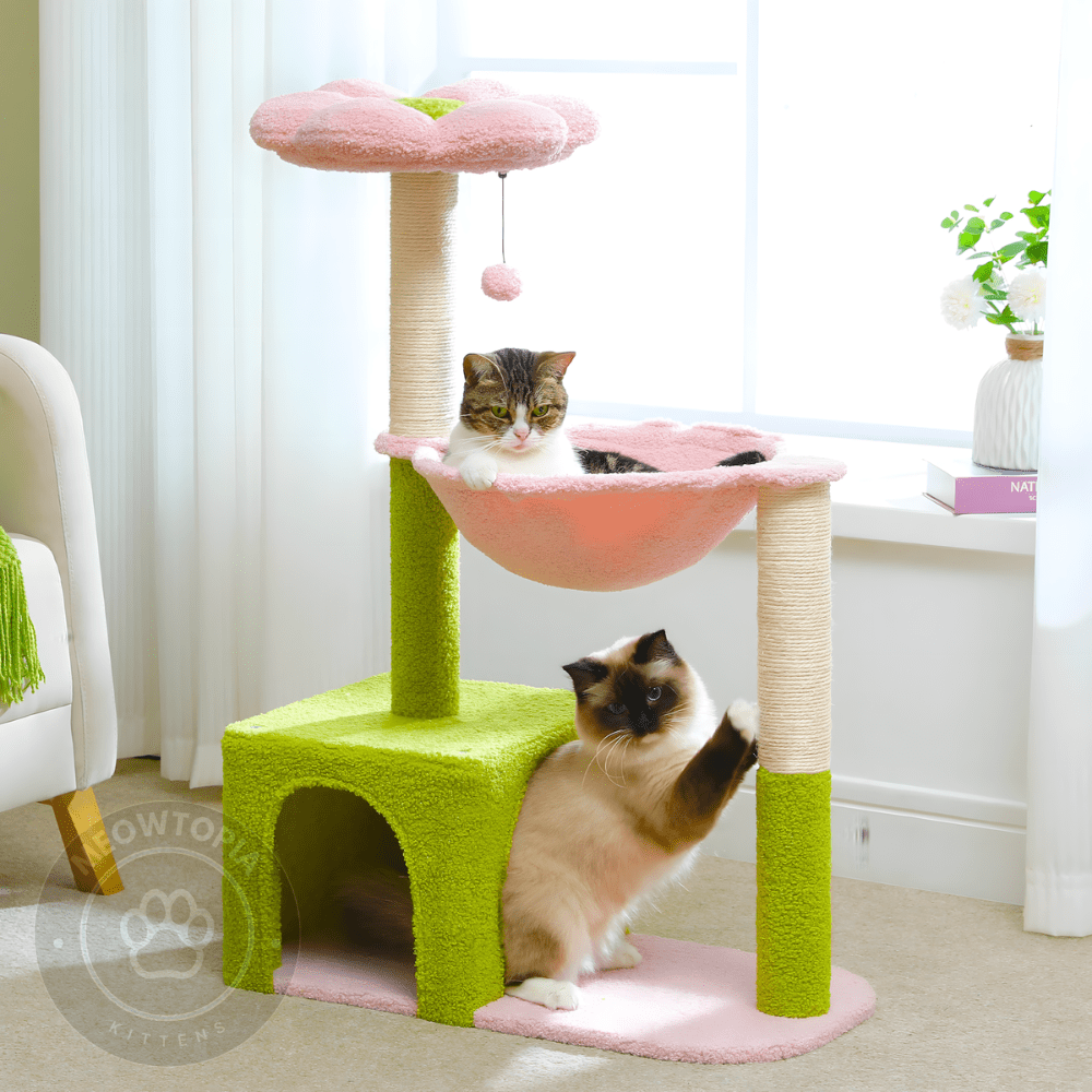 Blossom Bloom Cat Tree