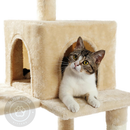 Meowtopia Supreme Cat Tower