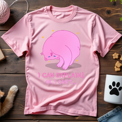 I Can Explain! Or, I Can't... Unisex Tee [Front Design]