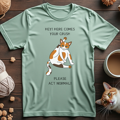 Hey! Here Comes Your Crush Unisex Tee
