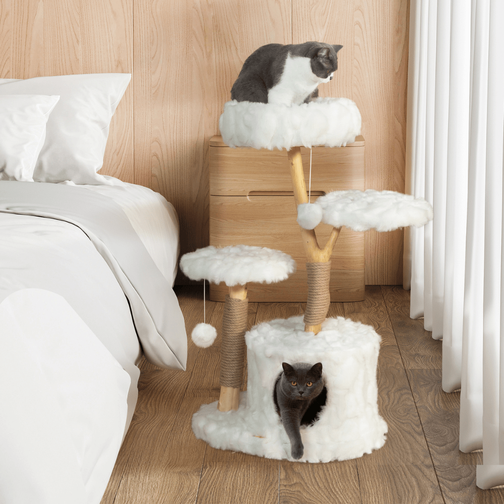 Clouds in Your Living Room: Modern Cat Tree with Natural Branches and Cozy Perches