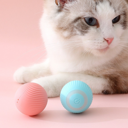 Meowtopia SmartPlay Interactive Cat Ball