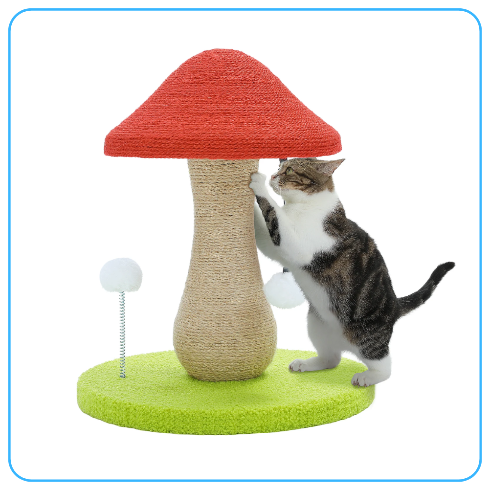 Magic Mushroom Kitty Scratch Post