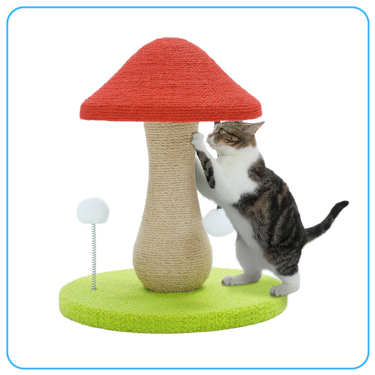 Magic Mushroom Kitty Scratch Post