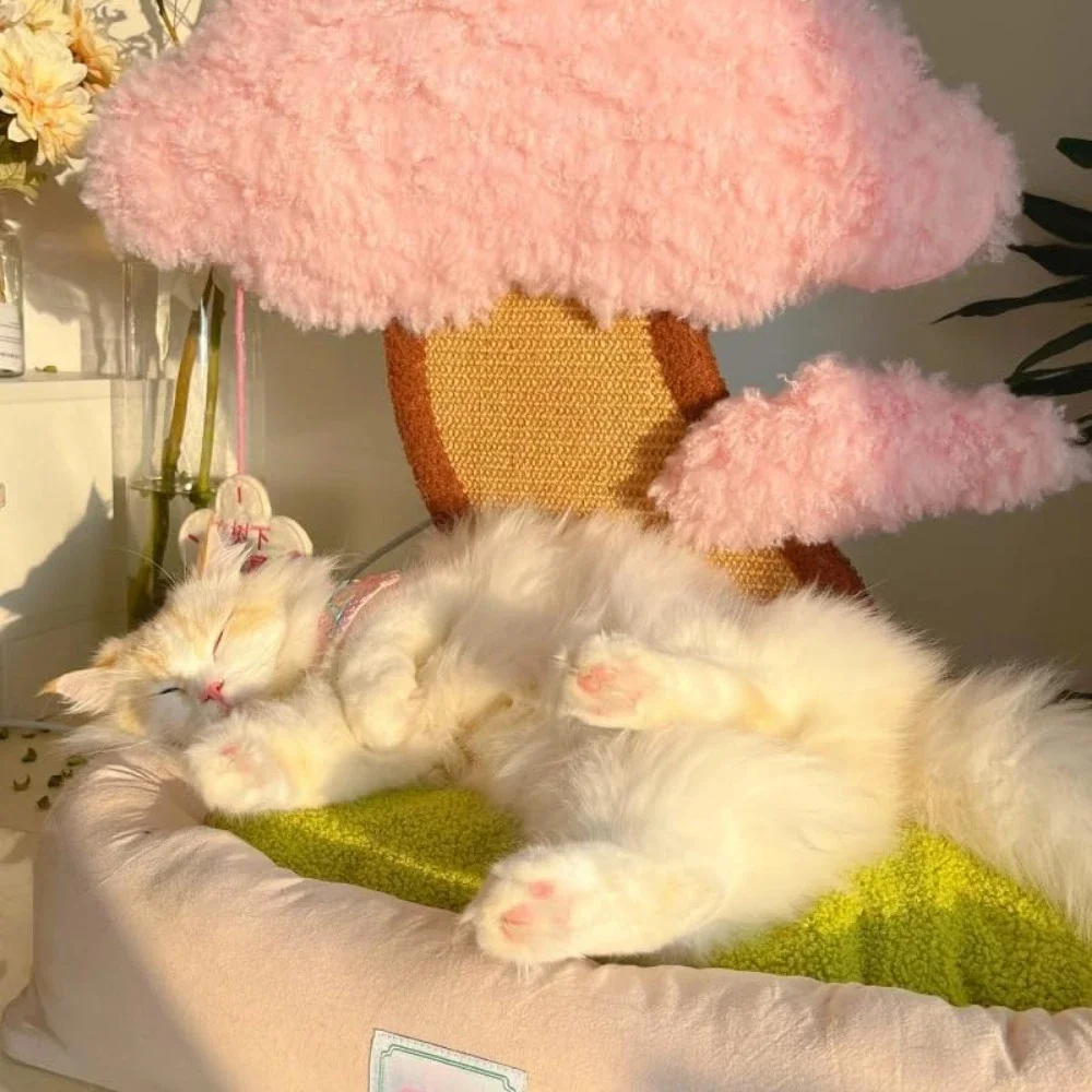 Sakura Scratcher Cat Bed