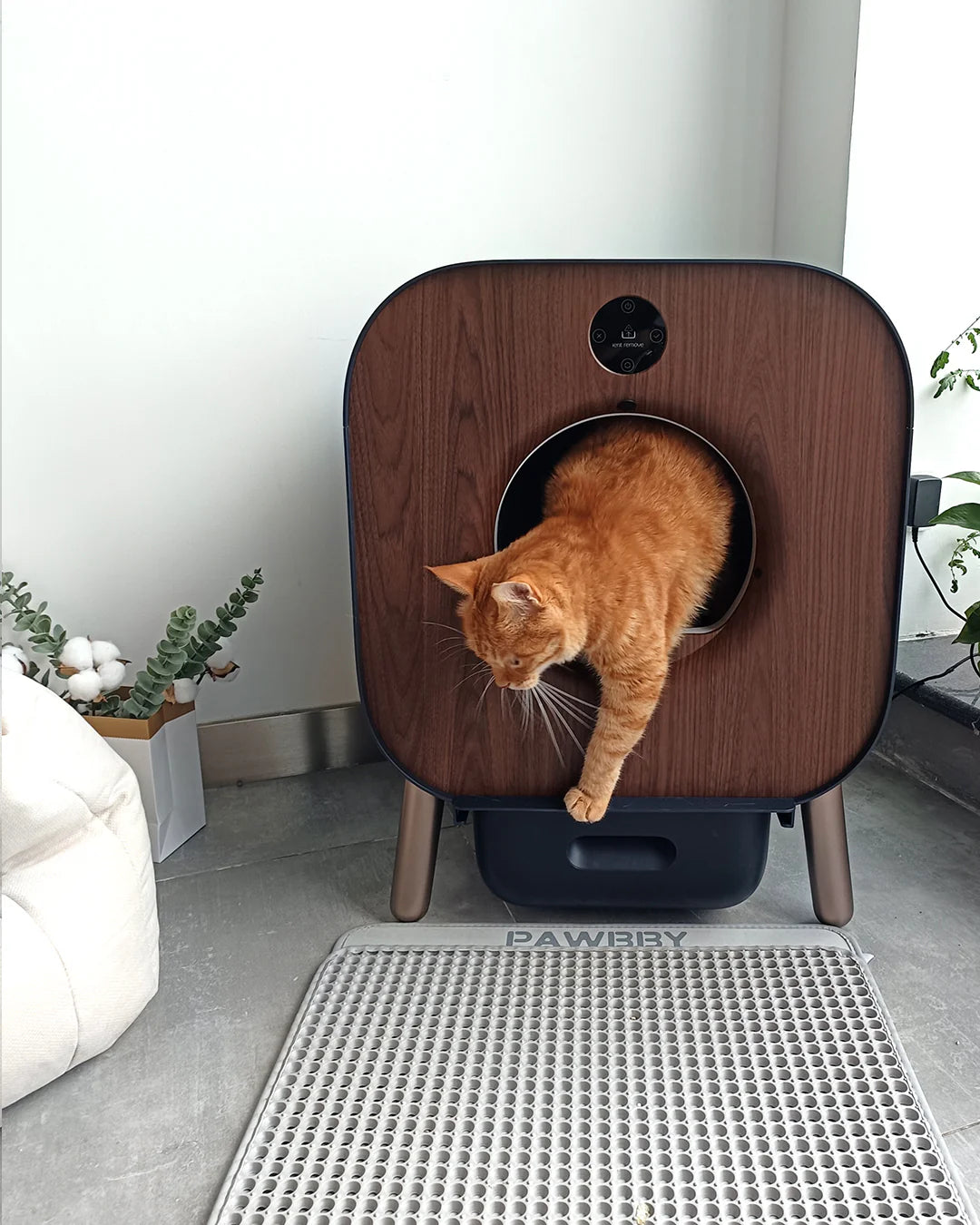 Elite Automatic Cat Litter Box